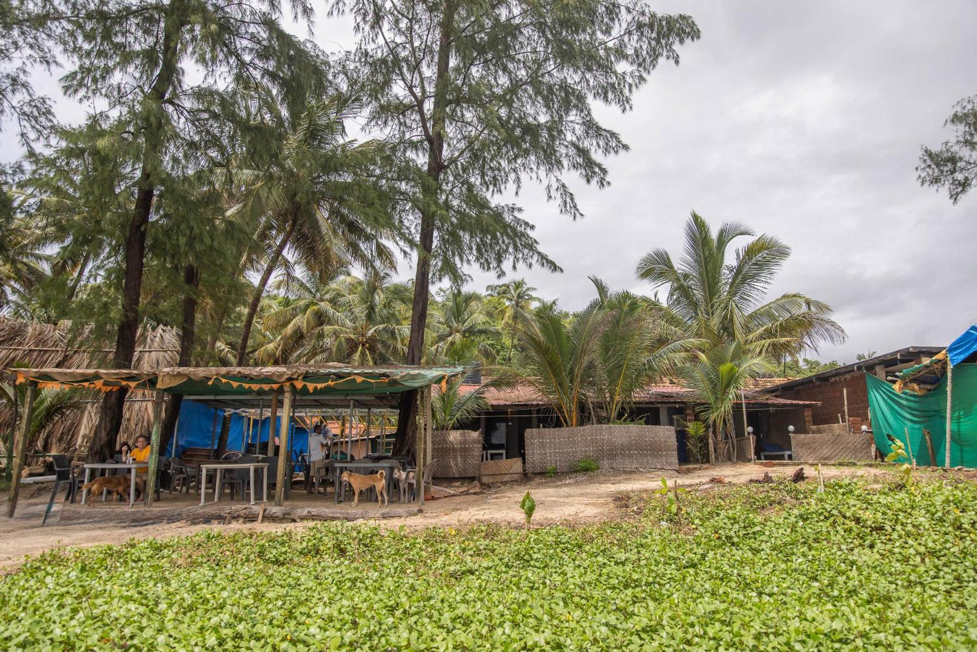 Talpona Beach Studios Canacona Exterior foto